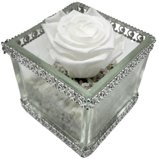 ¡Oferta! Rosa eterna natural blanca cristal